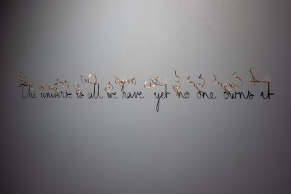 Fred Eerdekens, The universe is all we have yet no one owns it, 2024 
